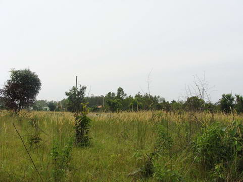 Land for Mabprachan Estate for Sale