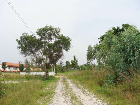 Land for Mabprachan Estate for Sale