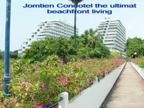 Jomtien Seaview Condo for Sale or Rent